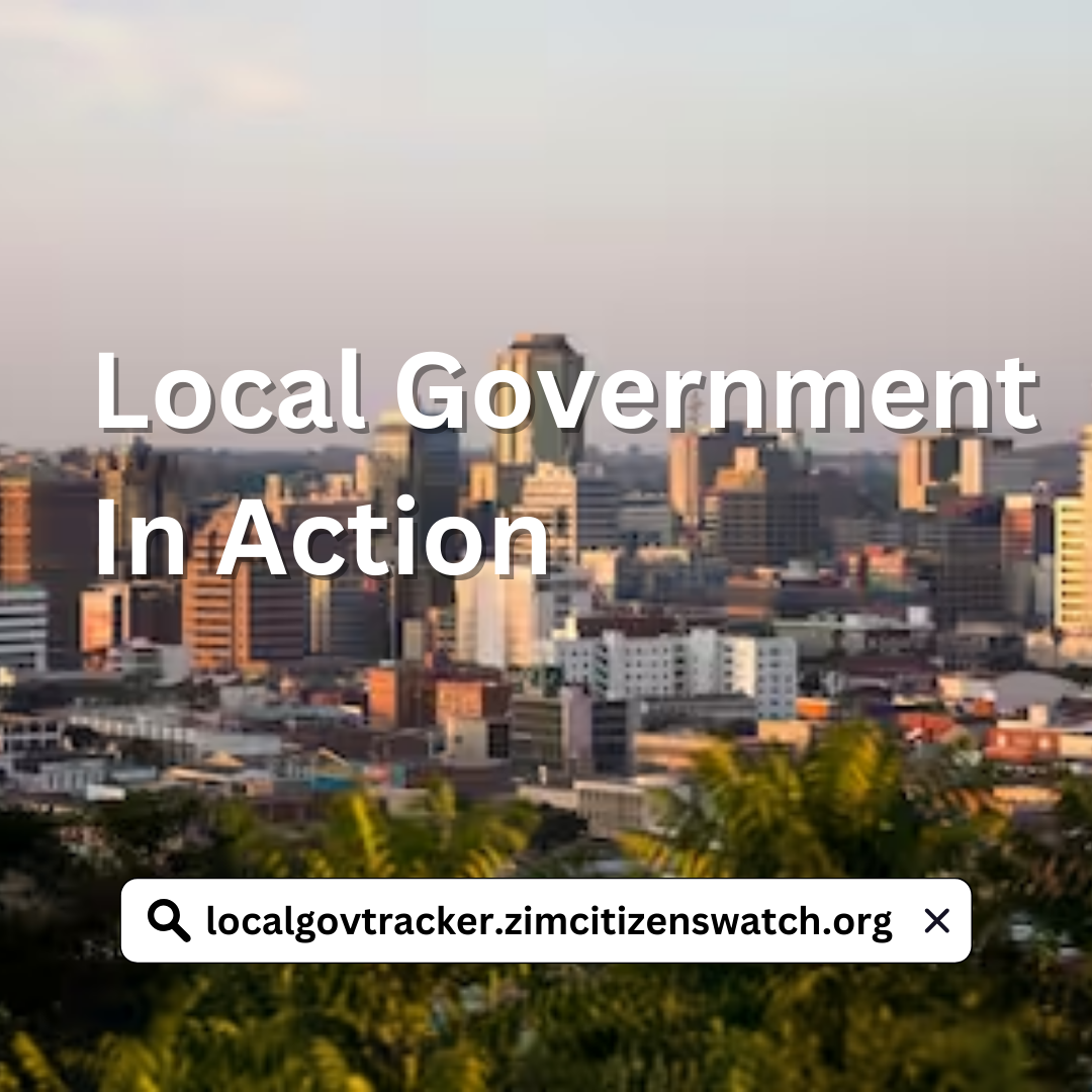 Local Government in Action Logo